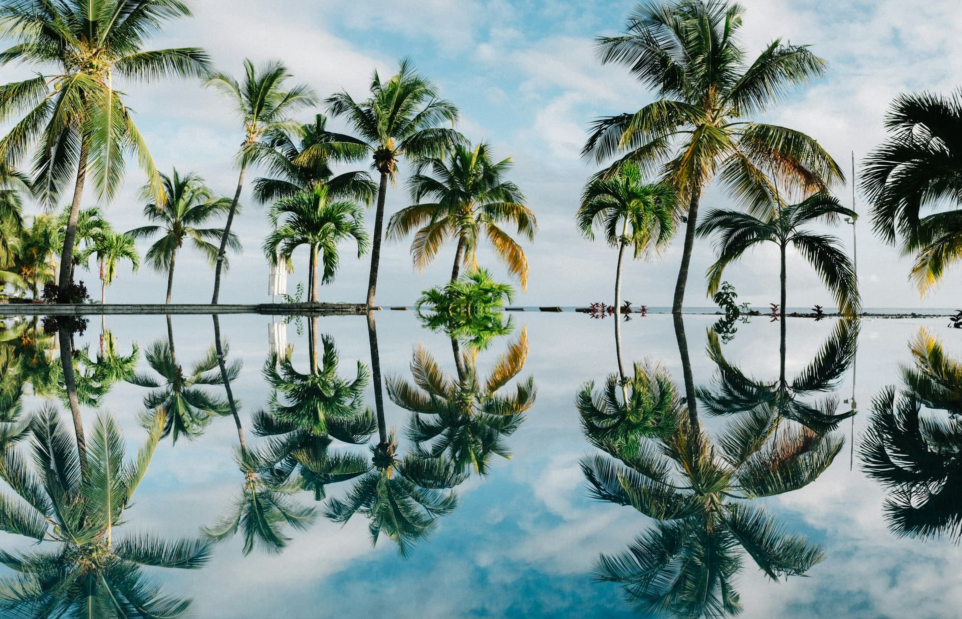 Lagoon House — palm-fringed pool deck at the water's edge